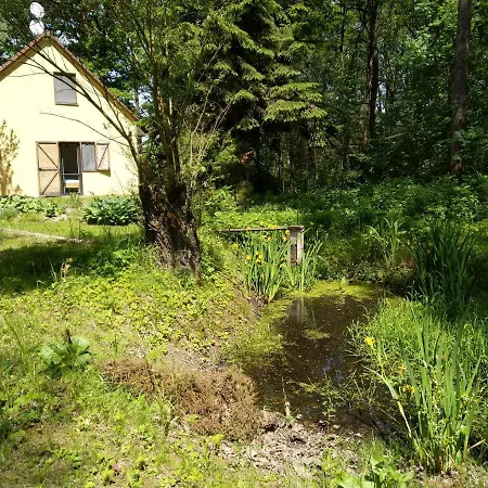 Feriehus Holiday In Lisov