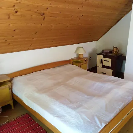 Holiday In Lisov