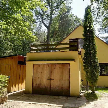 Holiday In Lisov