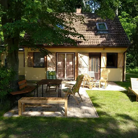 Holiday In Lisov