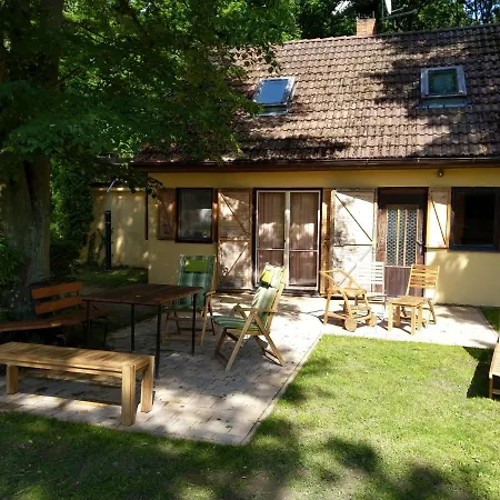 Holiday In Lisov