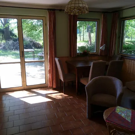Holiday In Lisov *